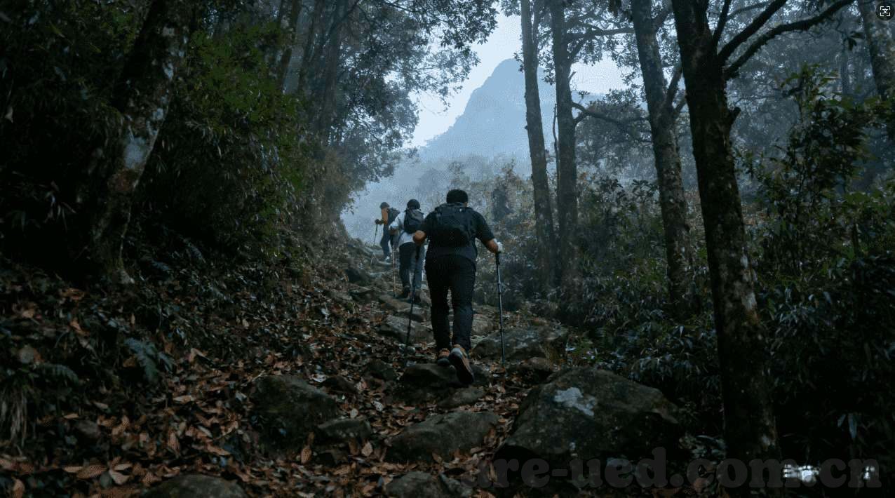 世界杯买球在哪买啊-世界杯买球攻略，安全、便捷、合法的购彩体验